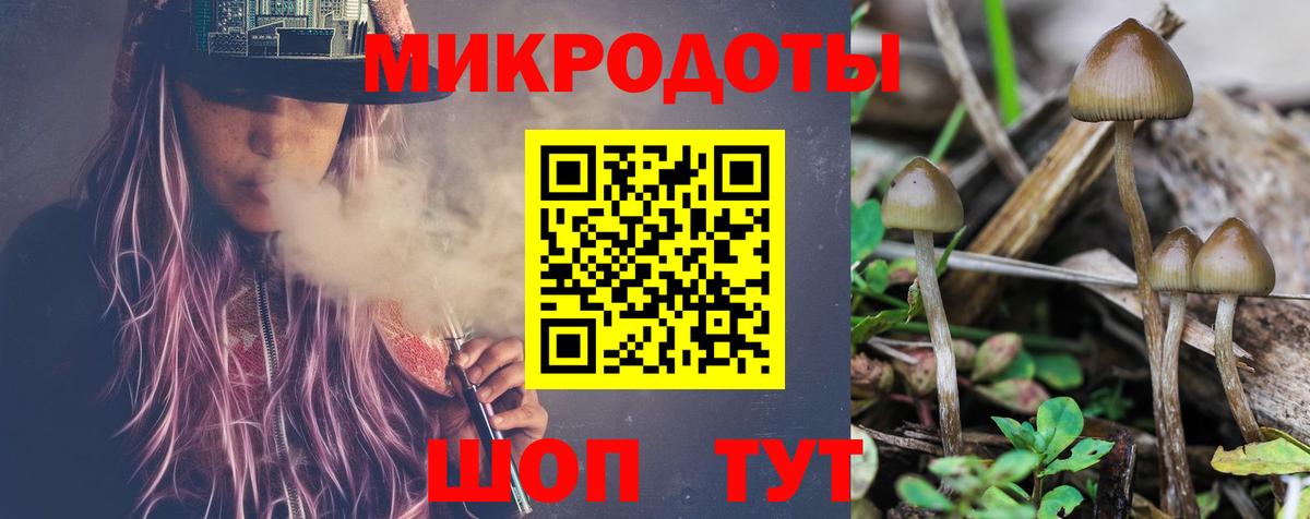 где найти   Псилоцибиновые грибы MAGIC MUSHROOMS  Сальск  Вход с VPN  Псилоцибиновые грибы мухоморы 